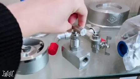 Valvola a sfera forgiata o fusa in acciaio al carbonio o inossidabile