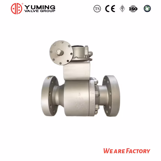 Valvole a sfera trunnion flottanti flangiate in acciaio al carbonio a passaggio totale e ridotto in acciaio inossidabile