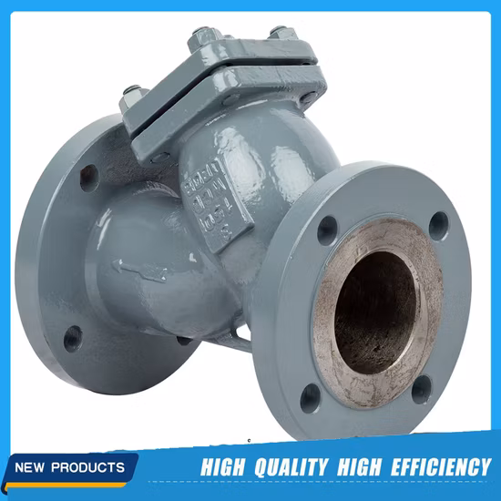 ASTM API DIN GOST GB Filtro/filtro a Y industriale in acciaio al carbonio