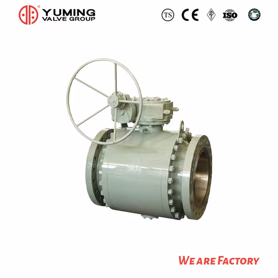 API 6D e API608 Acciaio fuso, WCB, acciaio al carbonio, acciaio inossidabile CF8, CF8m, A105/F304/F316 Valvola a sfera montata su perno su tubazione flangiata 2PC con funzionamento a ingranaggi